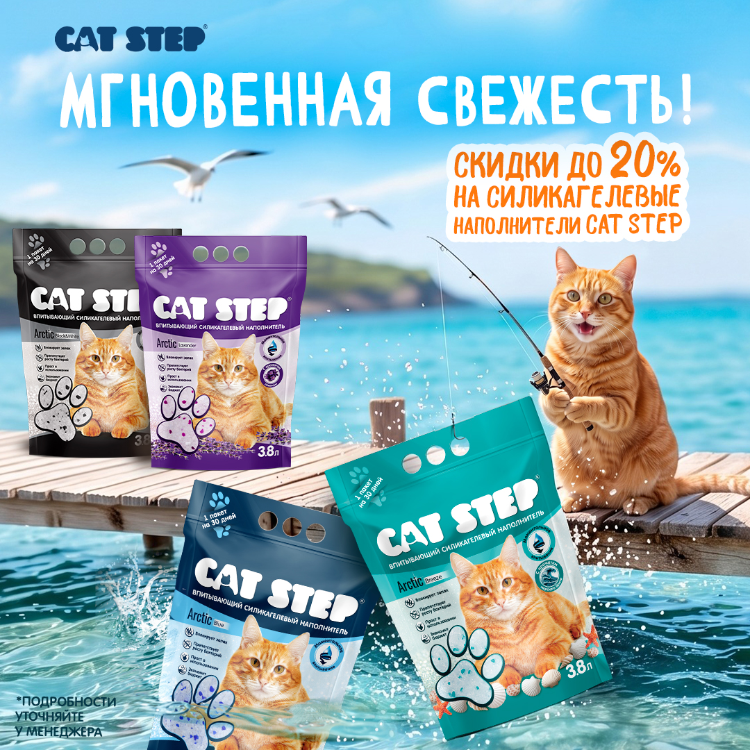Изображение на странице