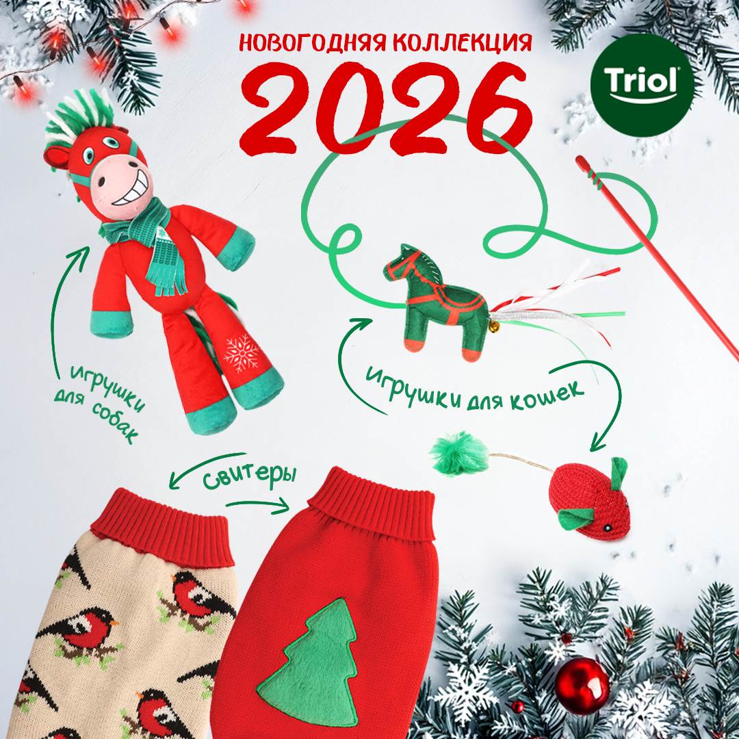 Изображение на странице