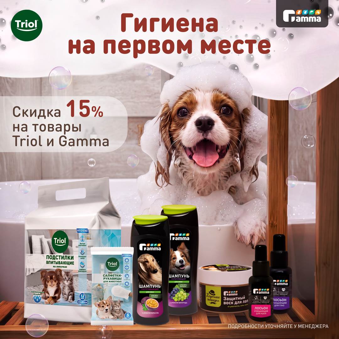 Изображение на странице