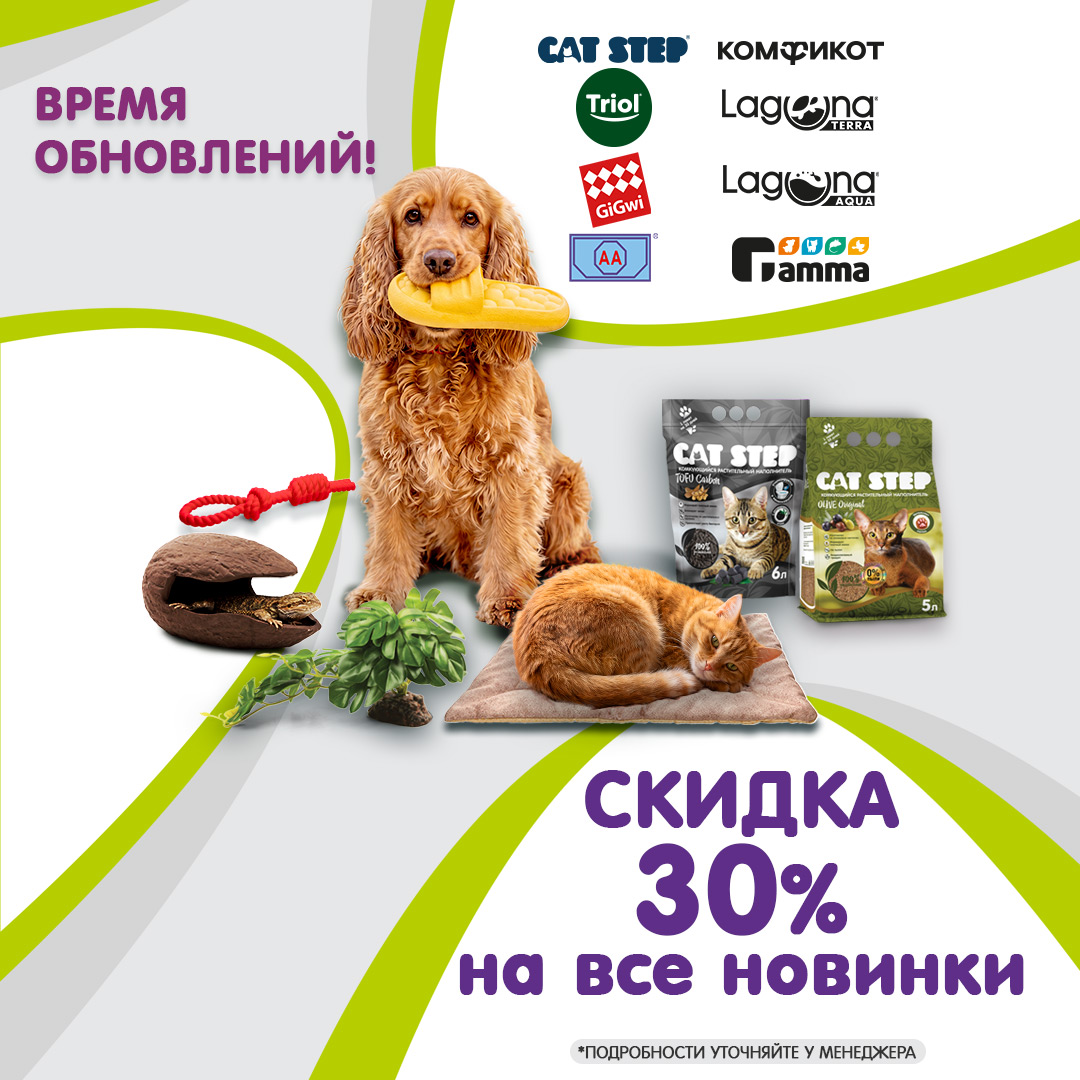 Изображение на странице