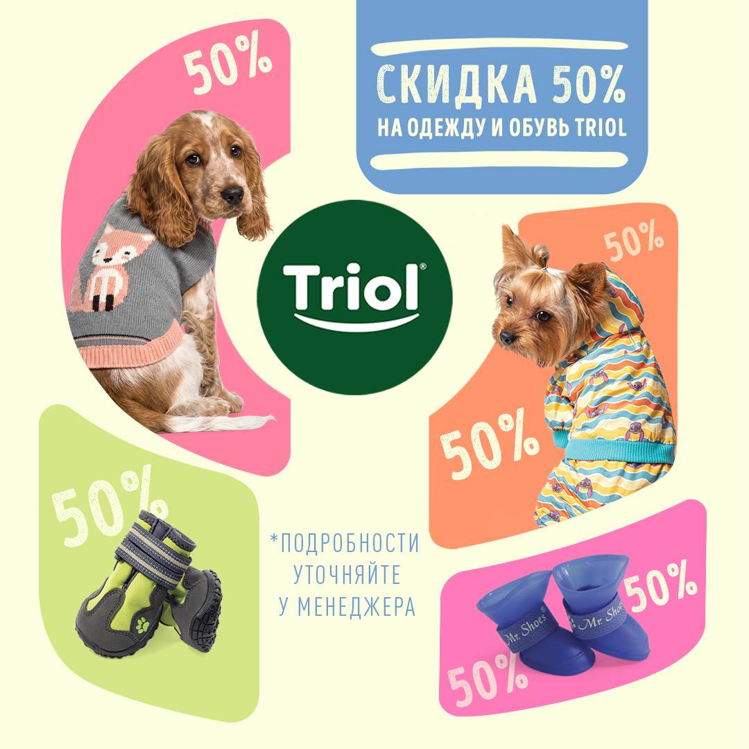 Изображение на странице