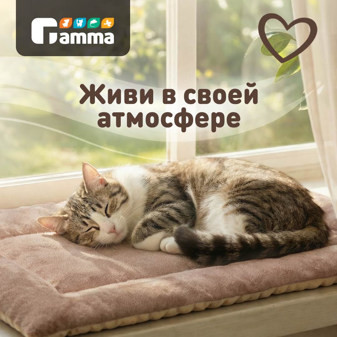 Изображение на странице