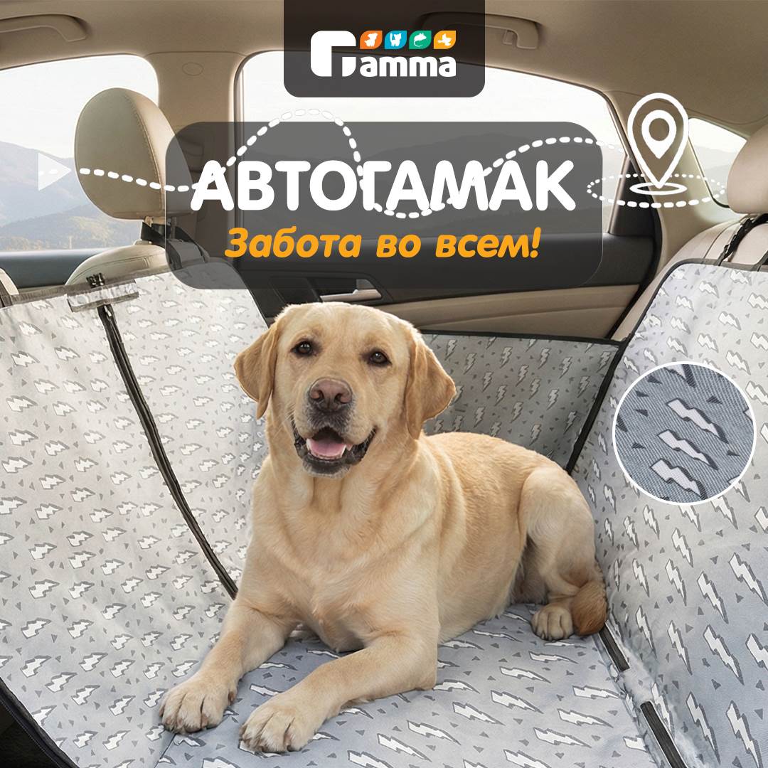 Изображение на странице
