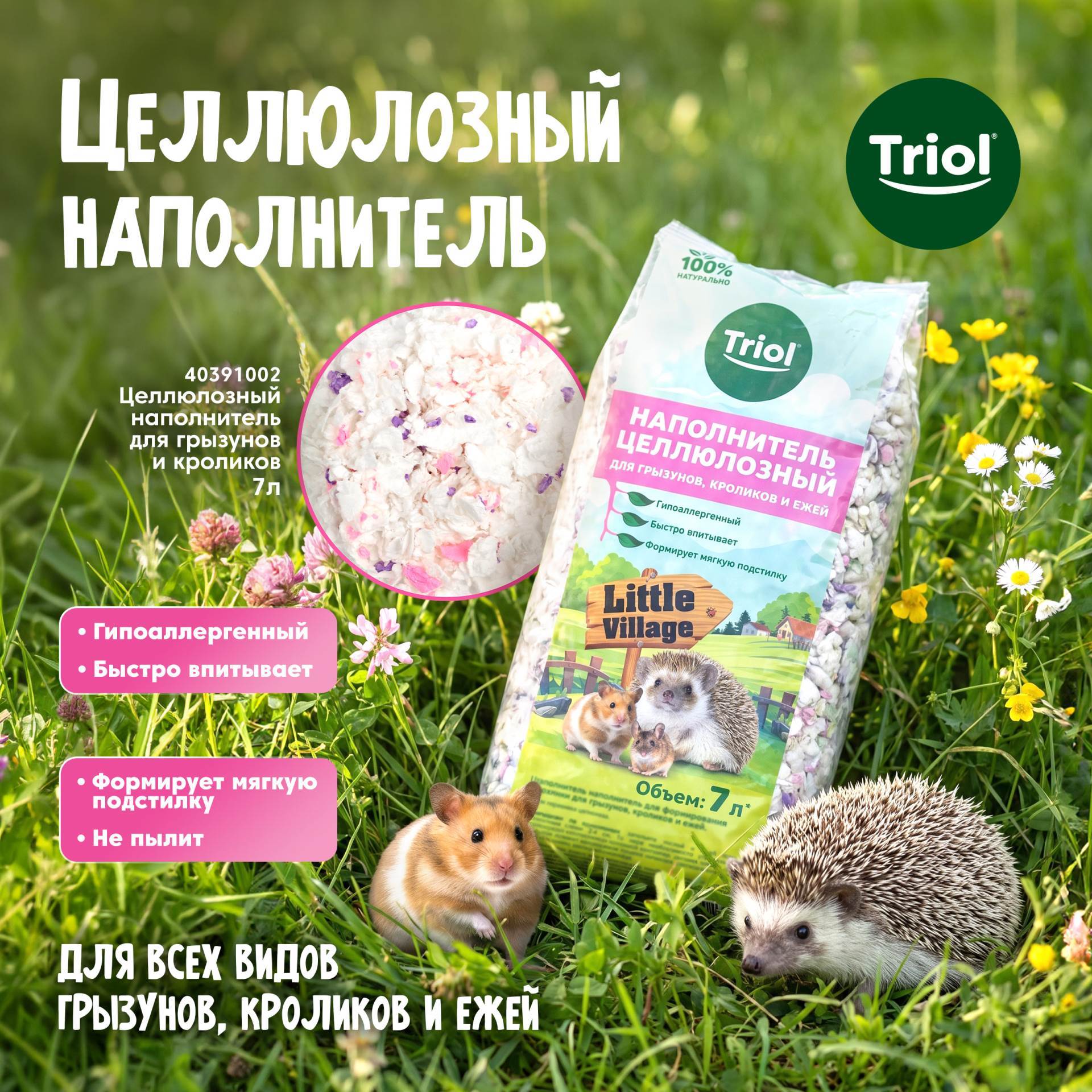 Изображение на странице