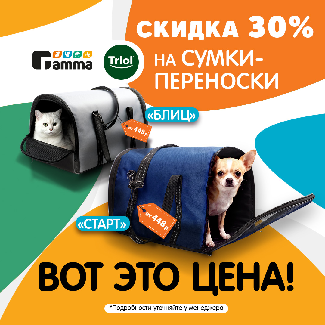 Изображение на странице