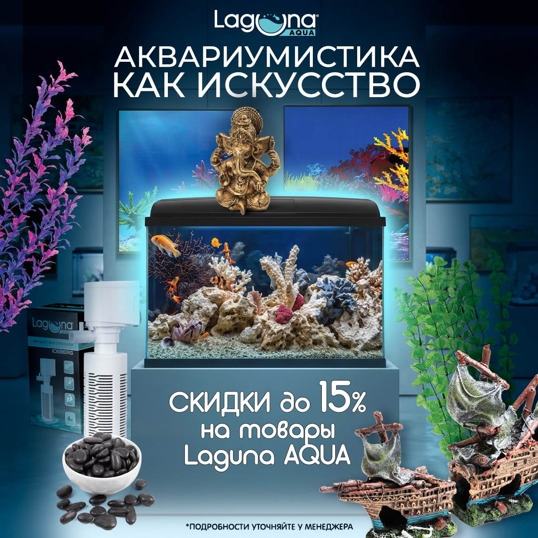 Изображение на странице