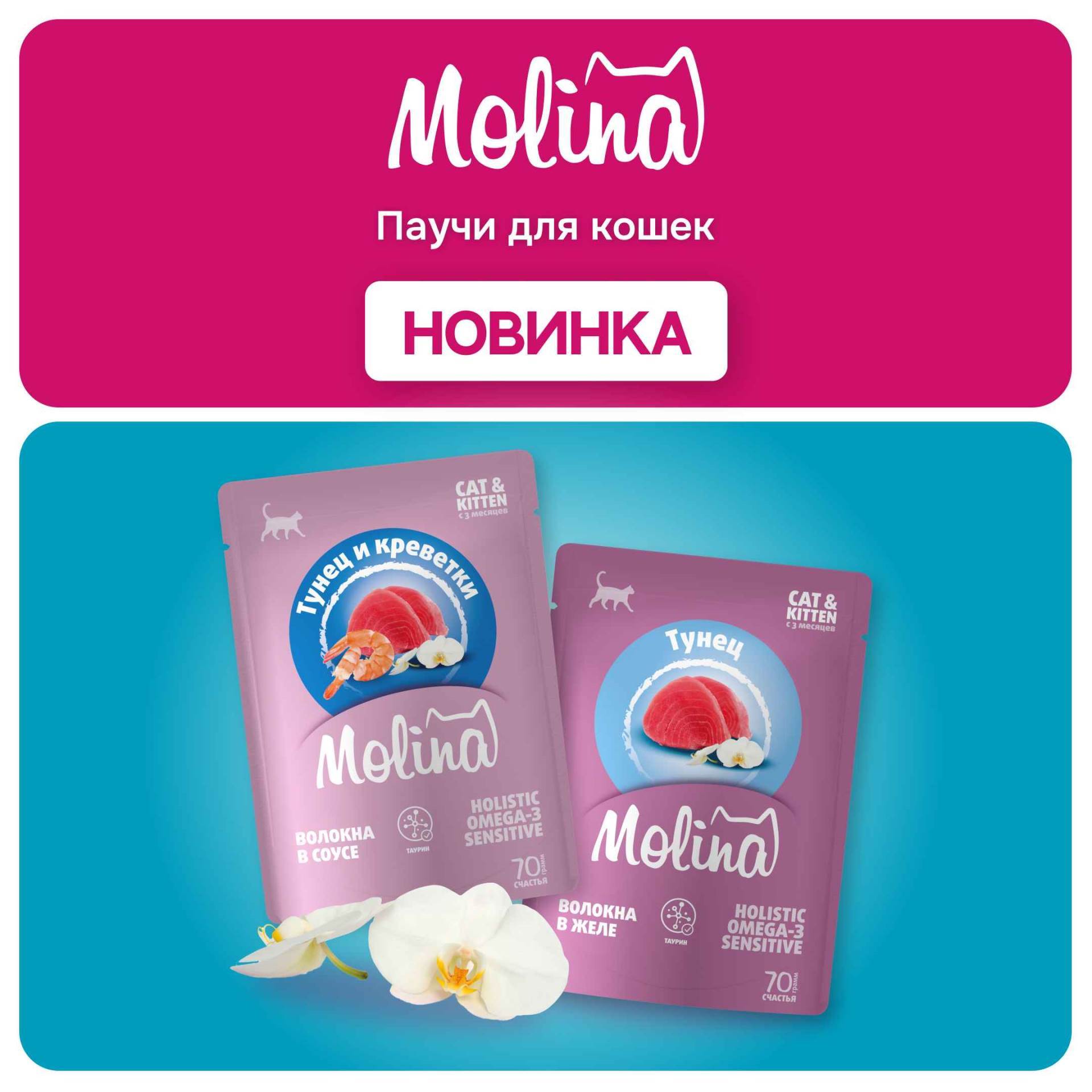Изображение на странице