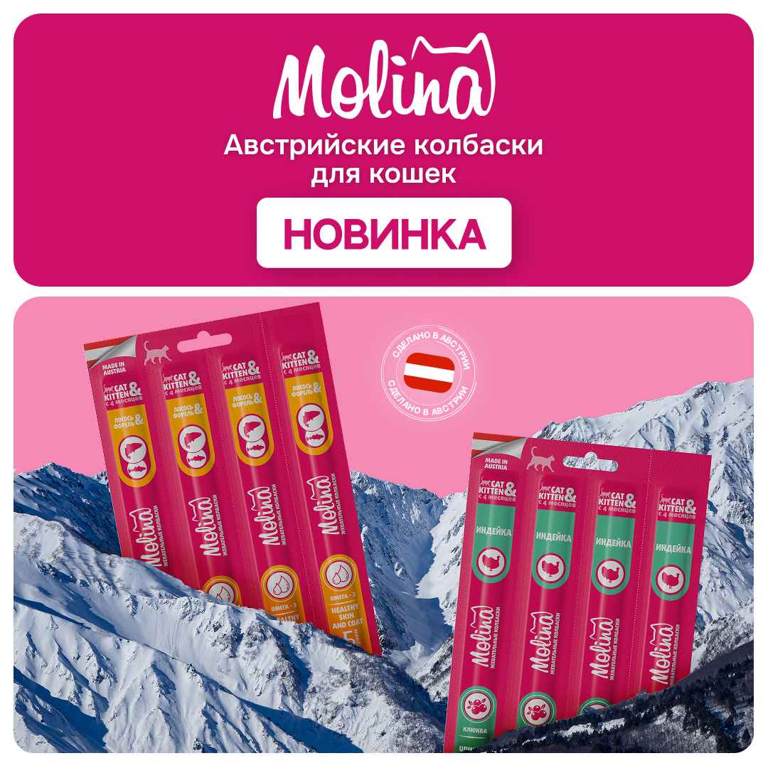 Изображение на странице