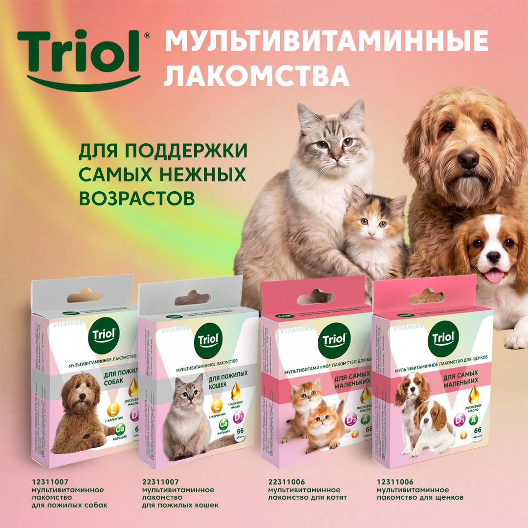 Изображение на странице