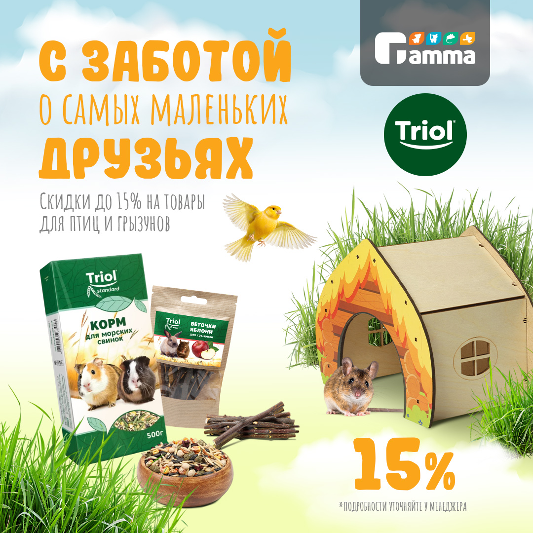 Изображение на странице
