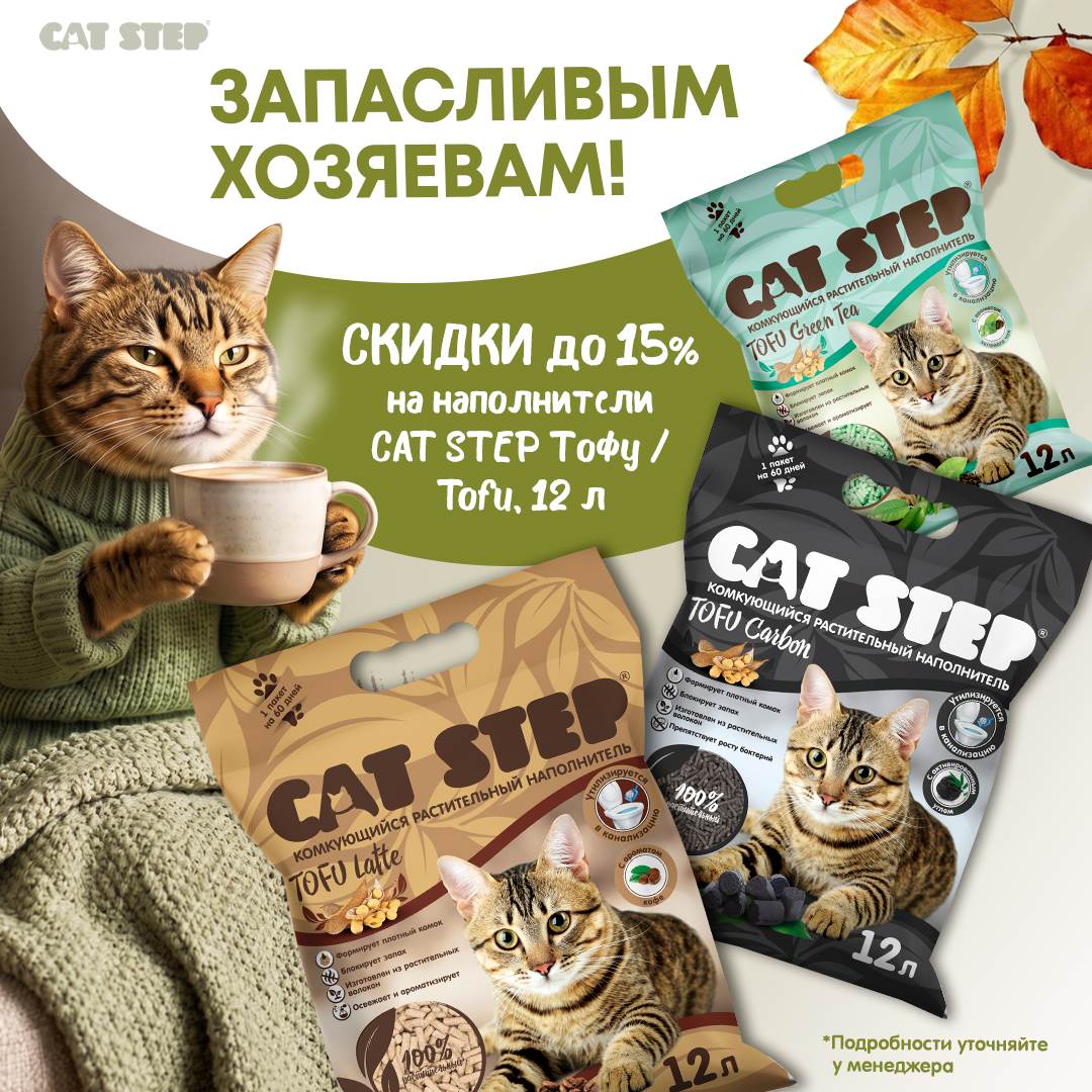 Изображение на странице