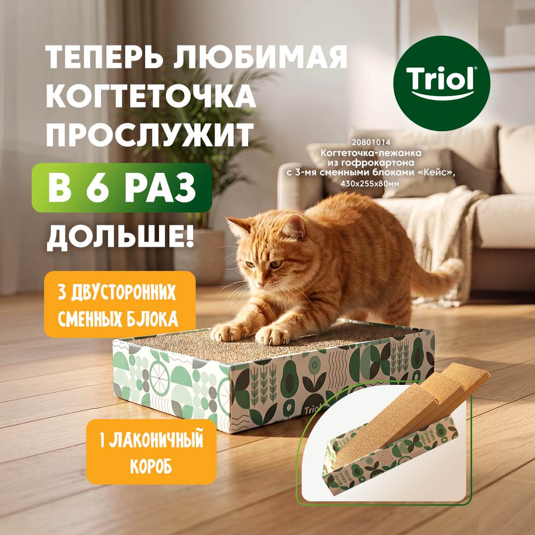 Изображение на странице