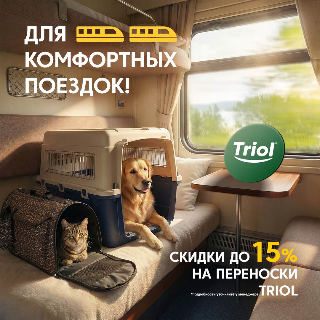 Изображение на странице