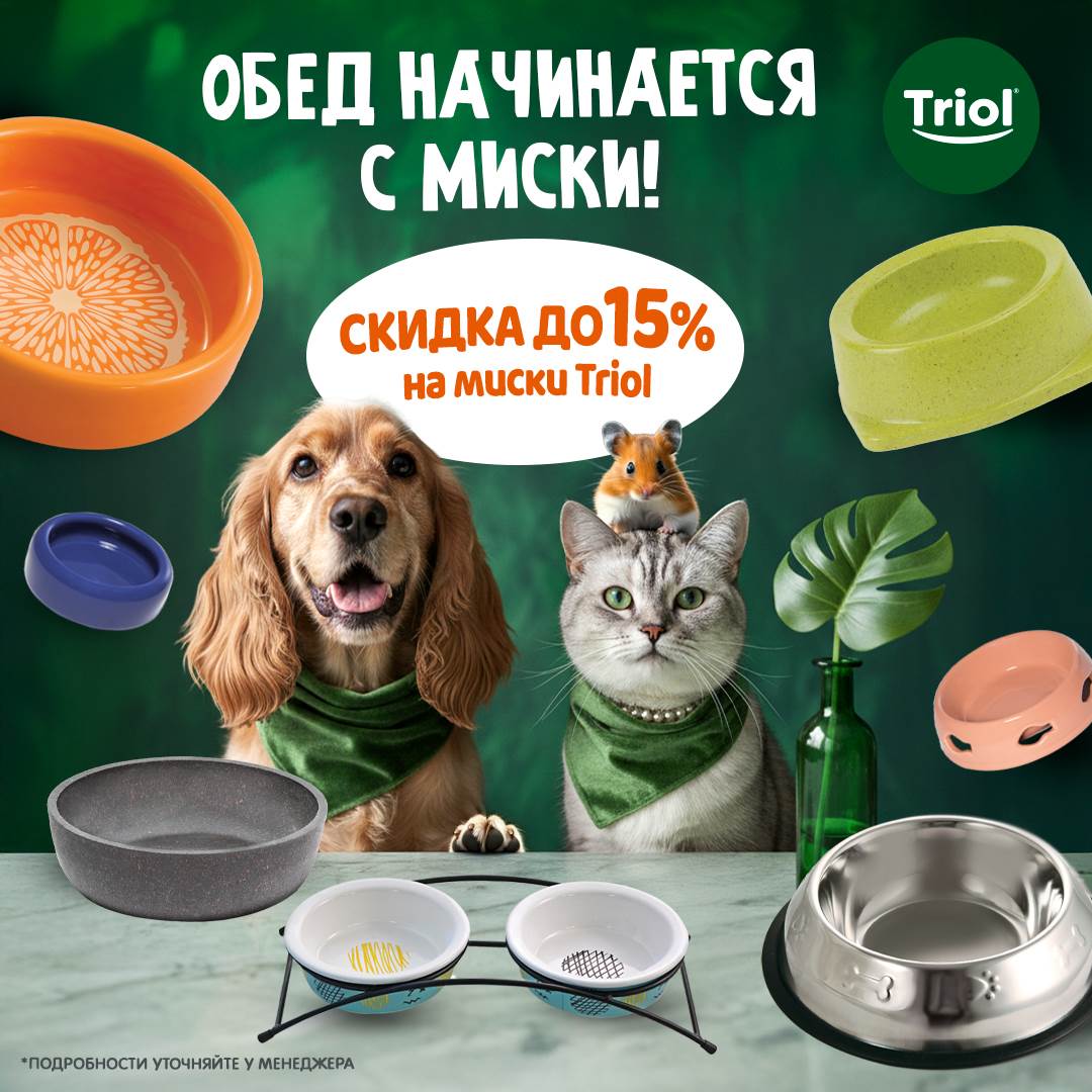 Изображение на странице