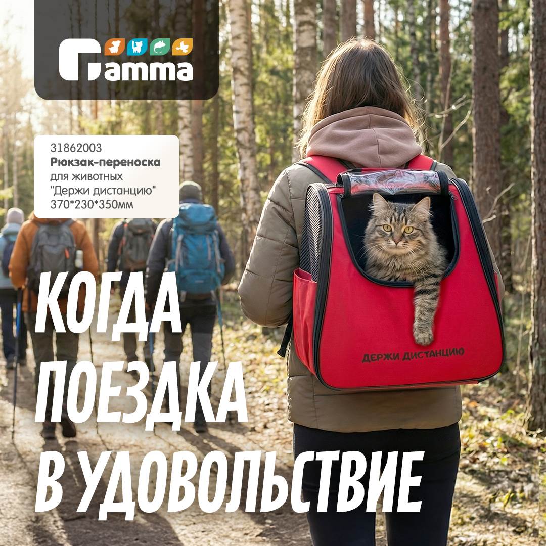 Изображение на странице