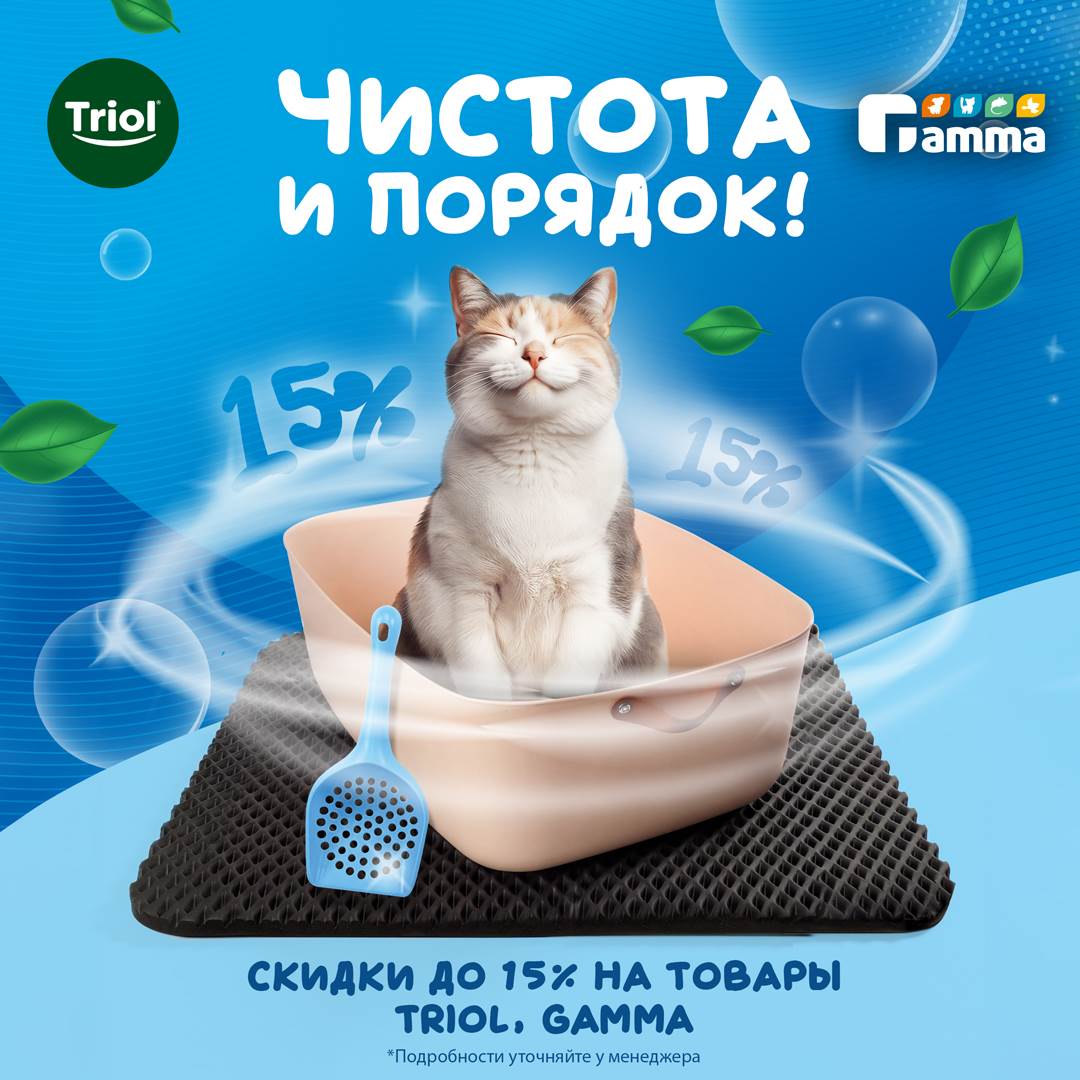 Изображение на странице
