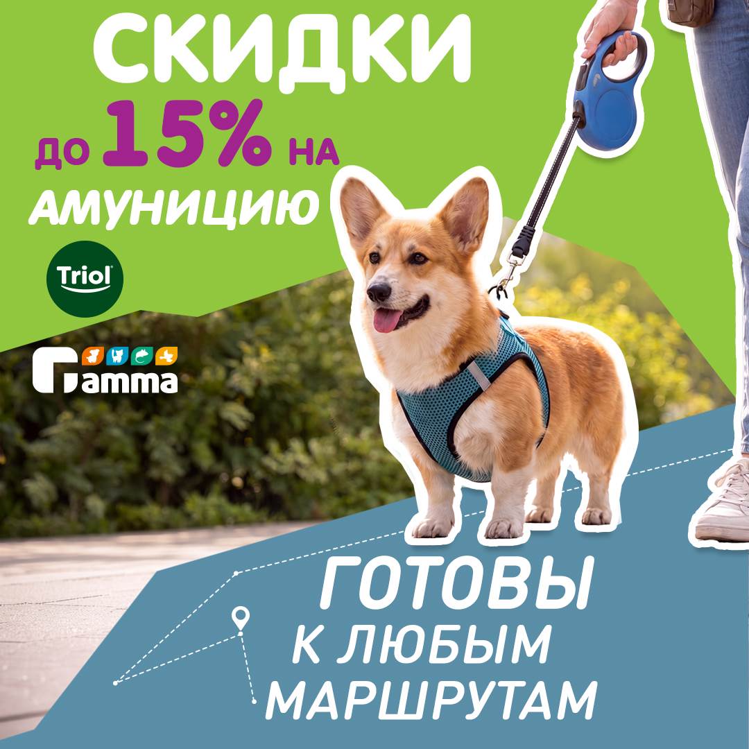 Изображение на странице