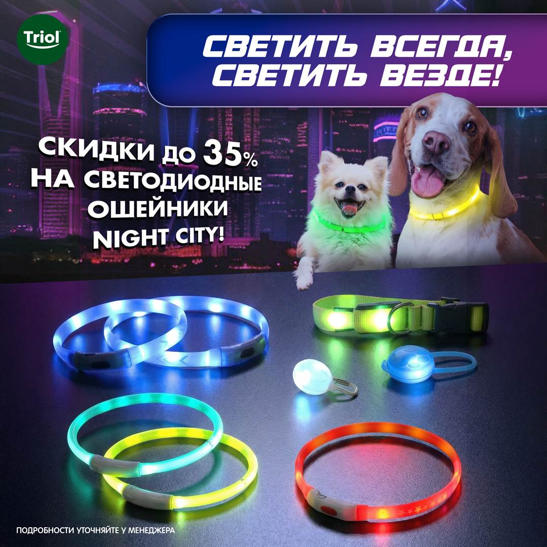 Изображение на странице