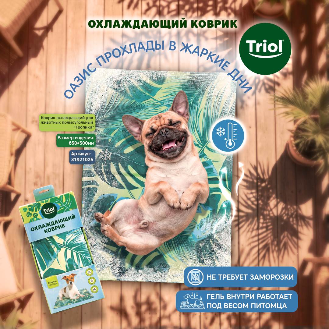 Изображение на странице