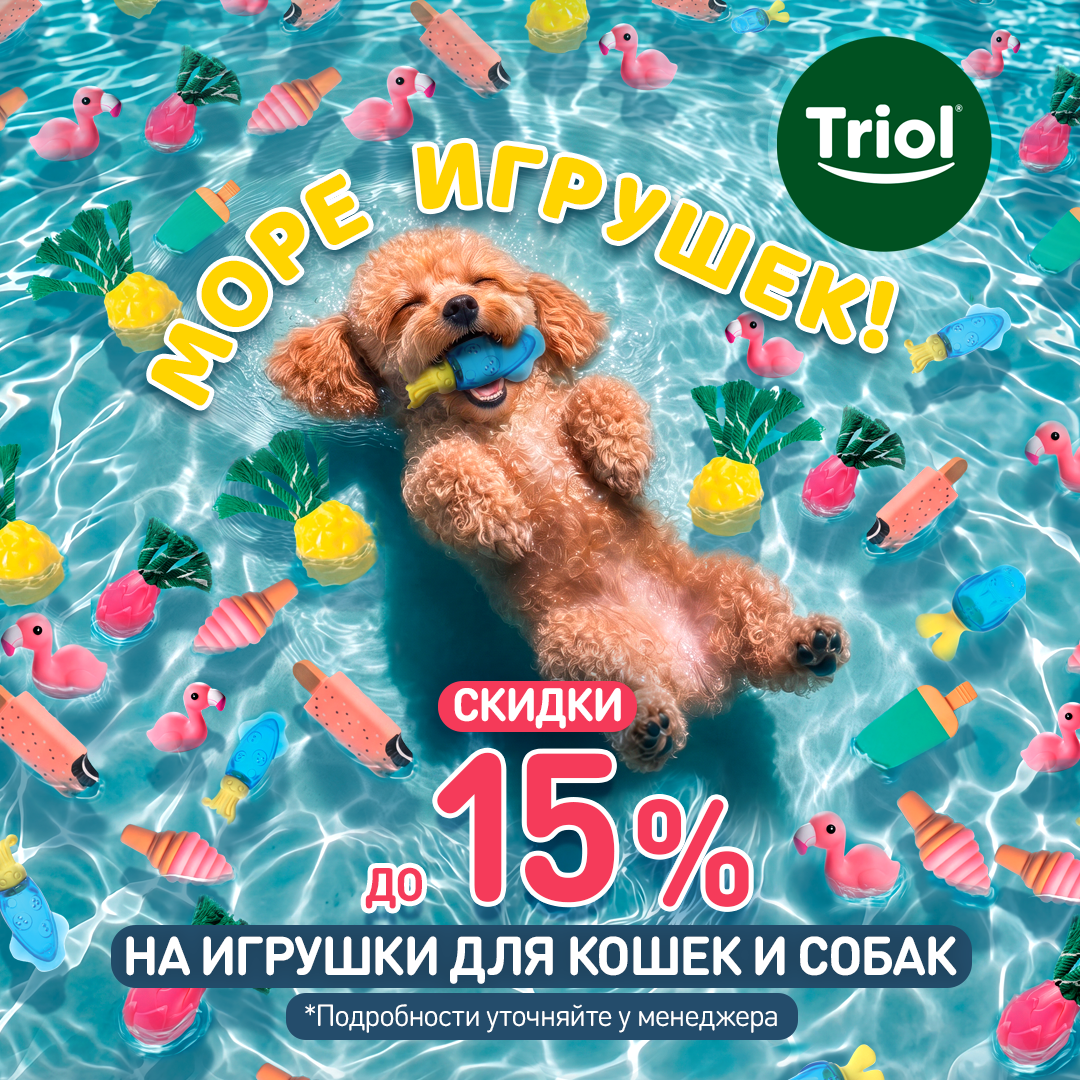 Изображение на странице