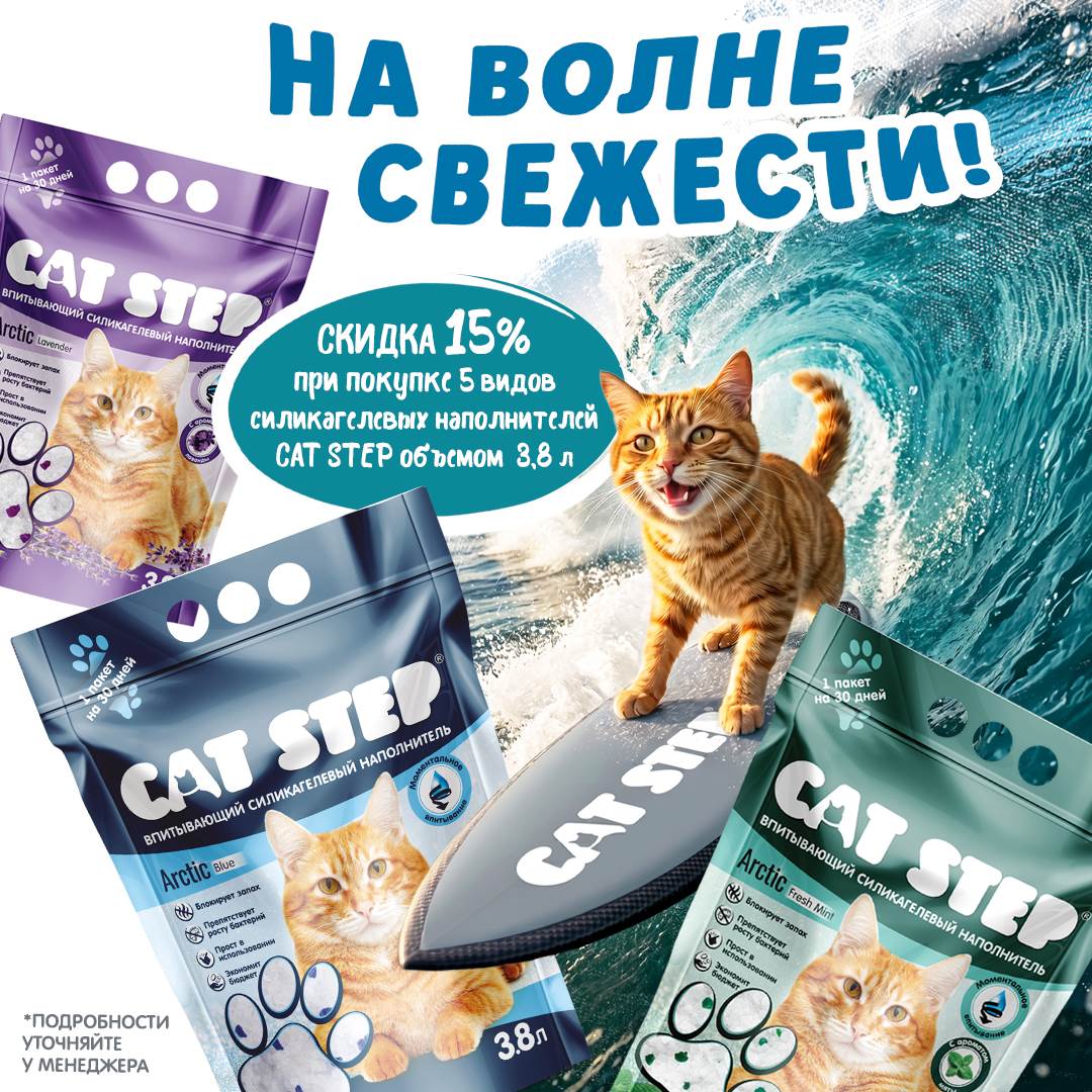 Изображение на странице