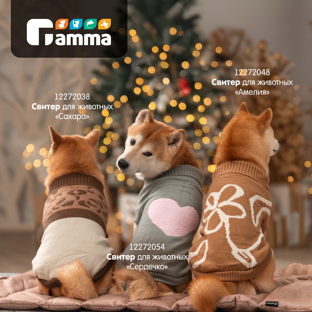 Изображение на странице