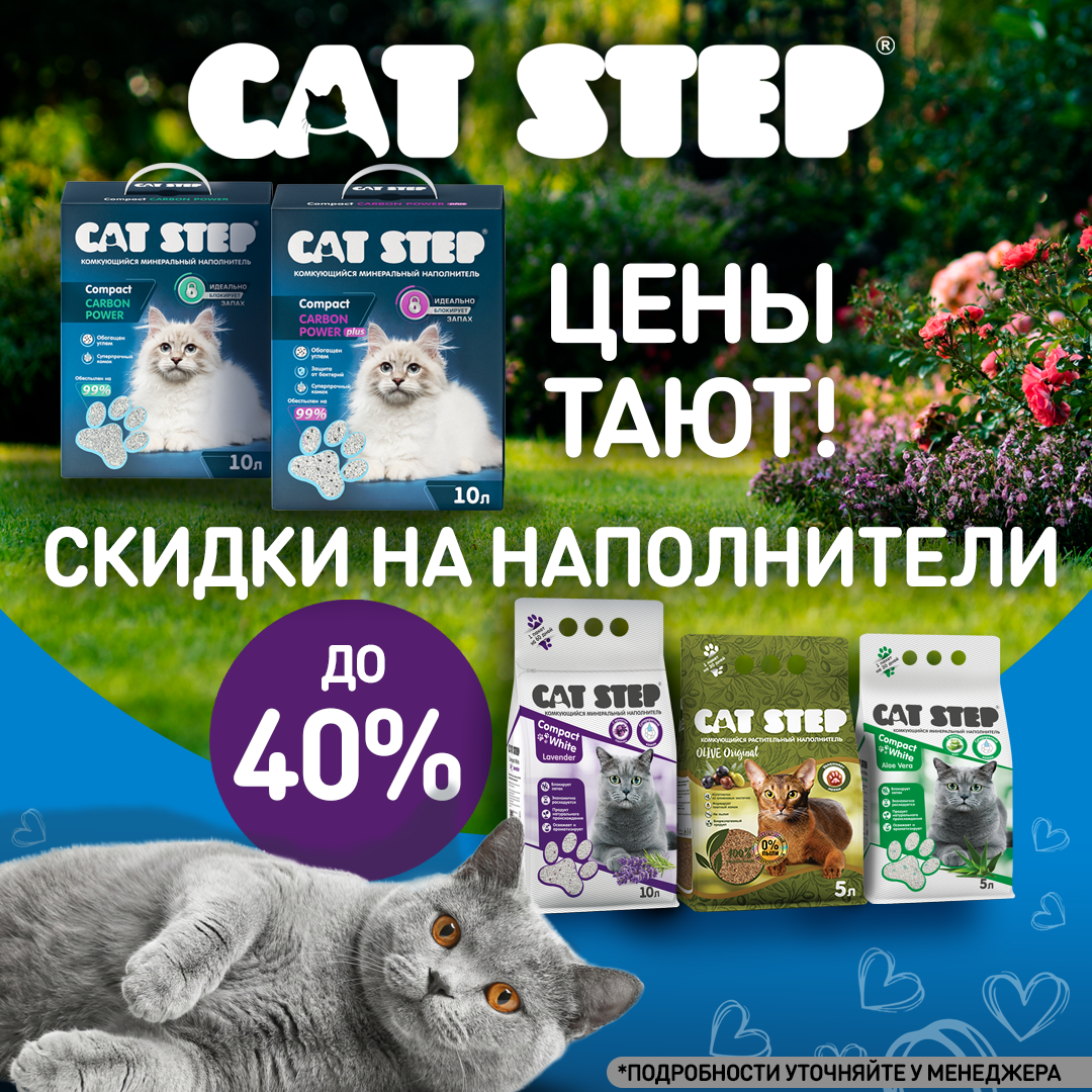 Изображение на странице