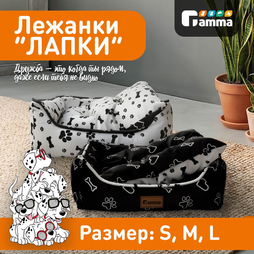 Изображение на странице