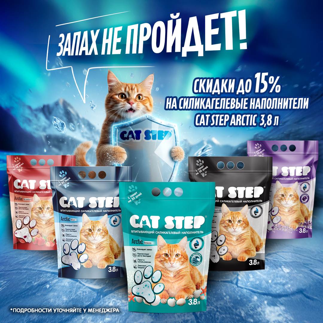 Изображение на странице