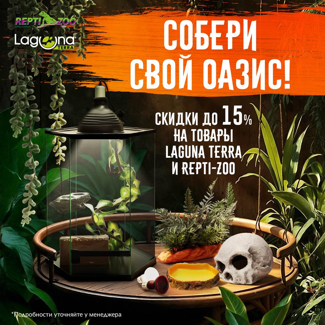 Изображение на странице