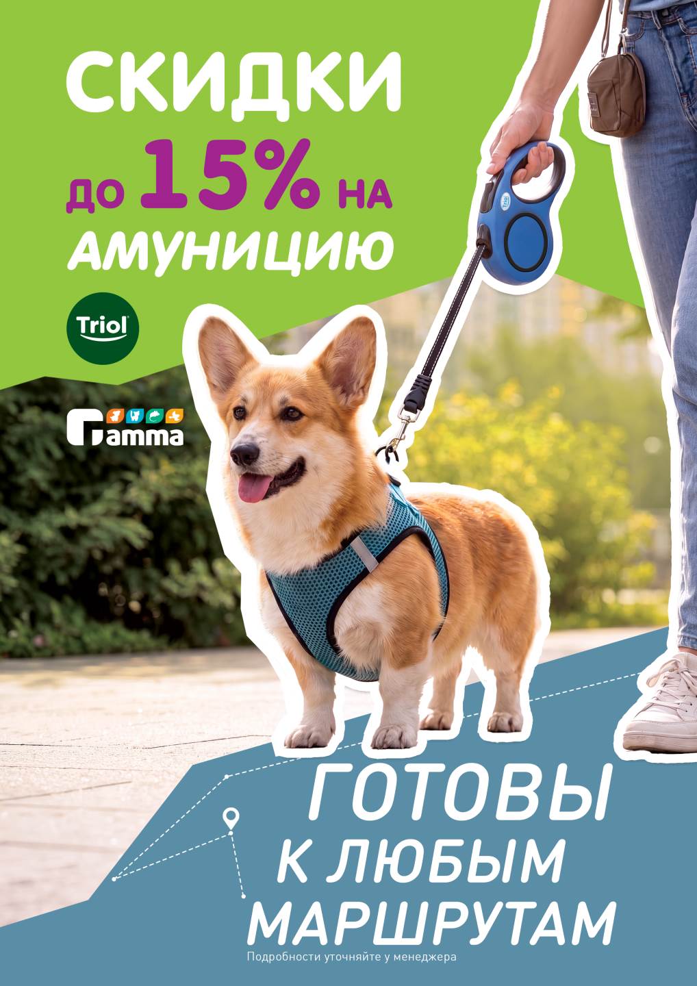 Изображение на странице