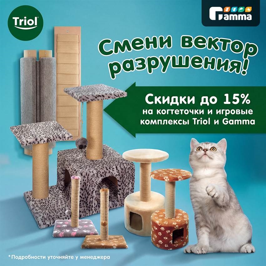 Изображение на странице