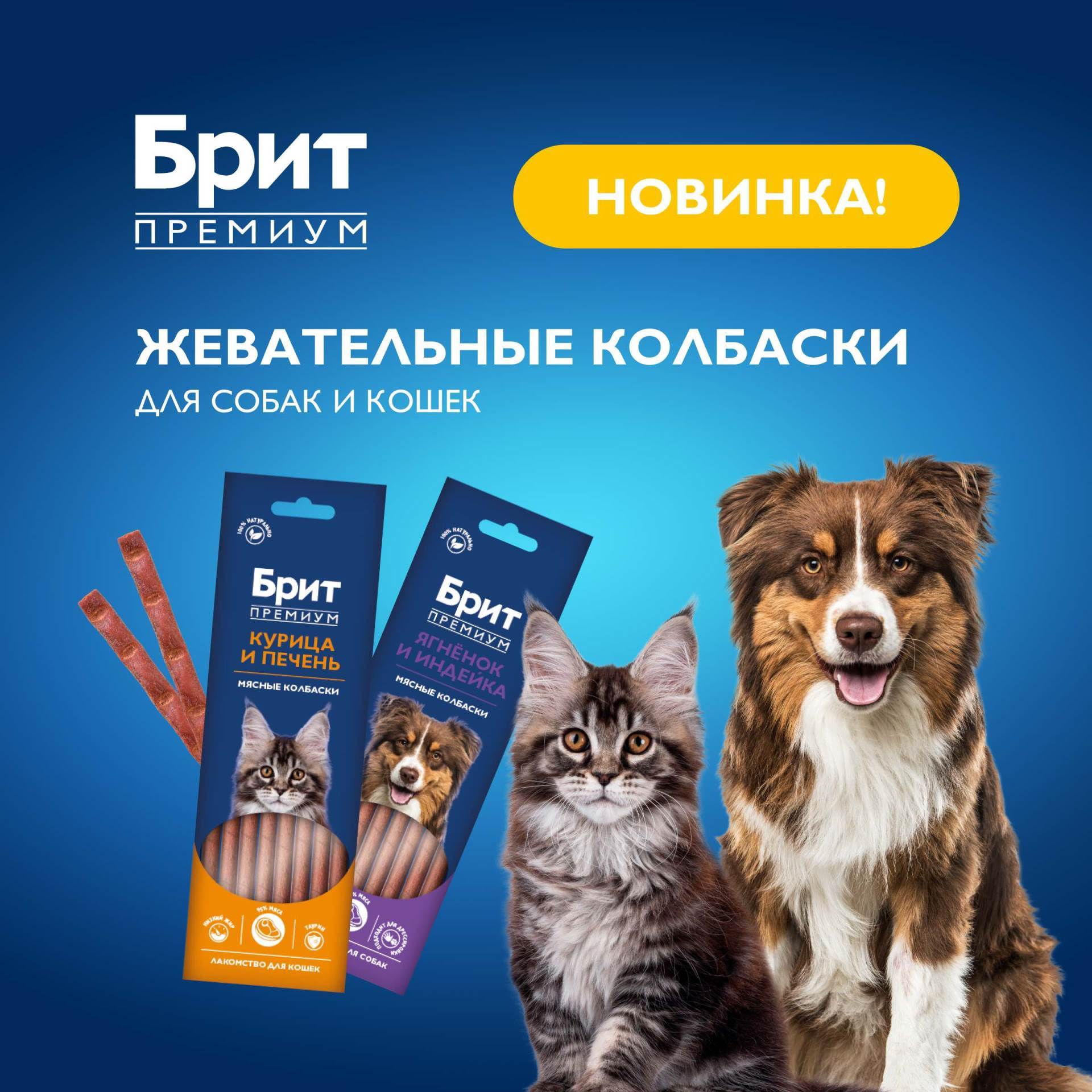 Изображение на странице
