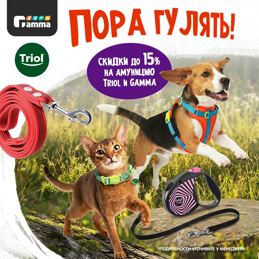 Изображение на странице