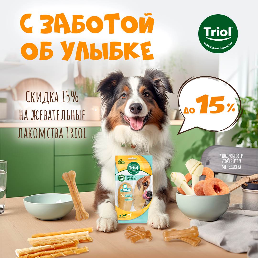 Изображение на странице