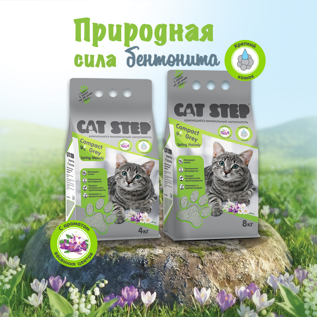 Изображение на странице