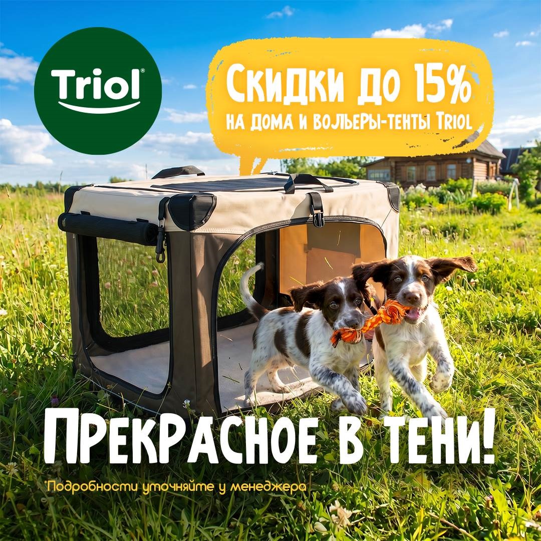 Изображение на странице
