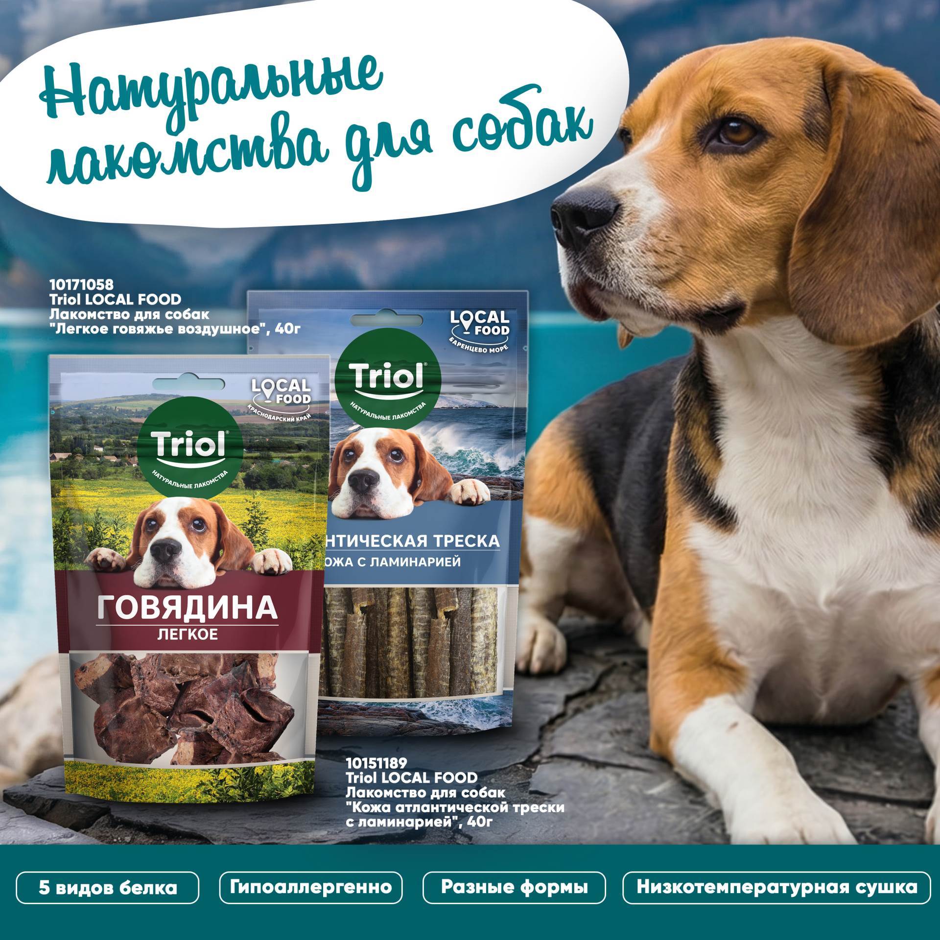 Изображение на странице