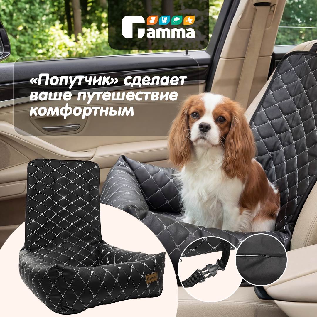 Изображение на странице