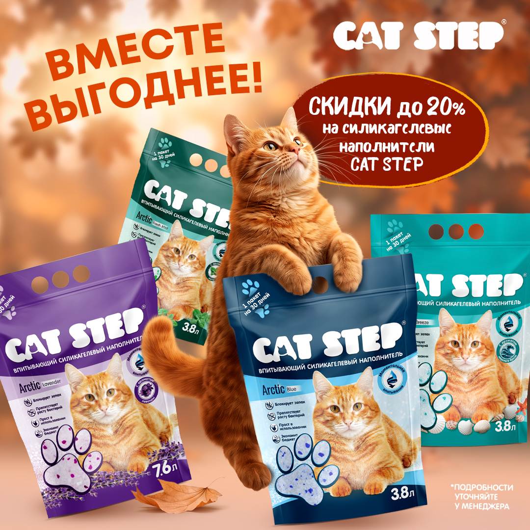 Изображение на странице