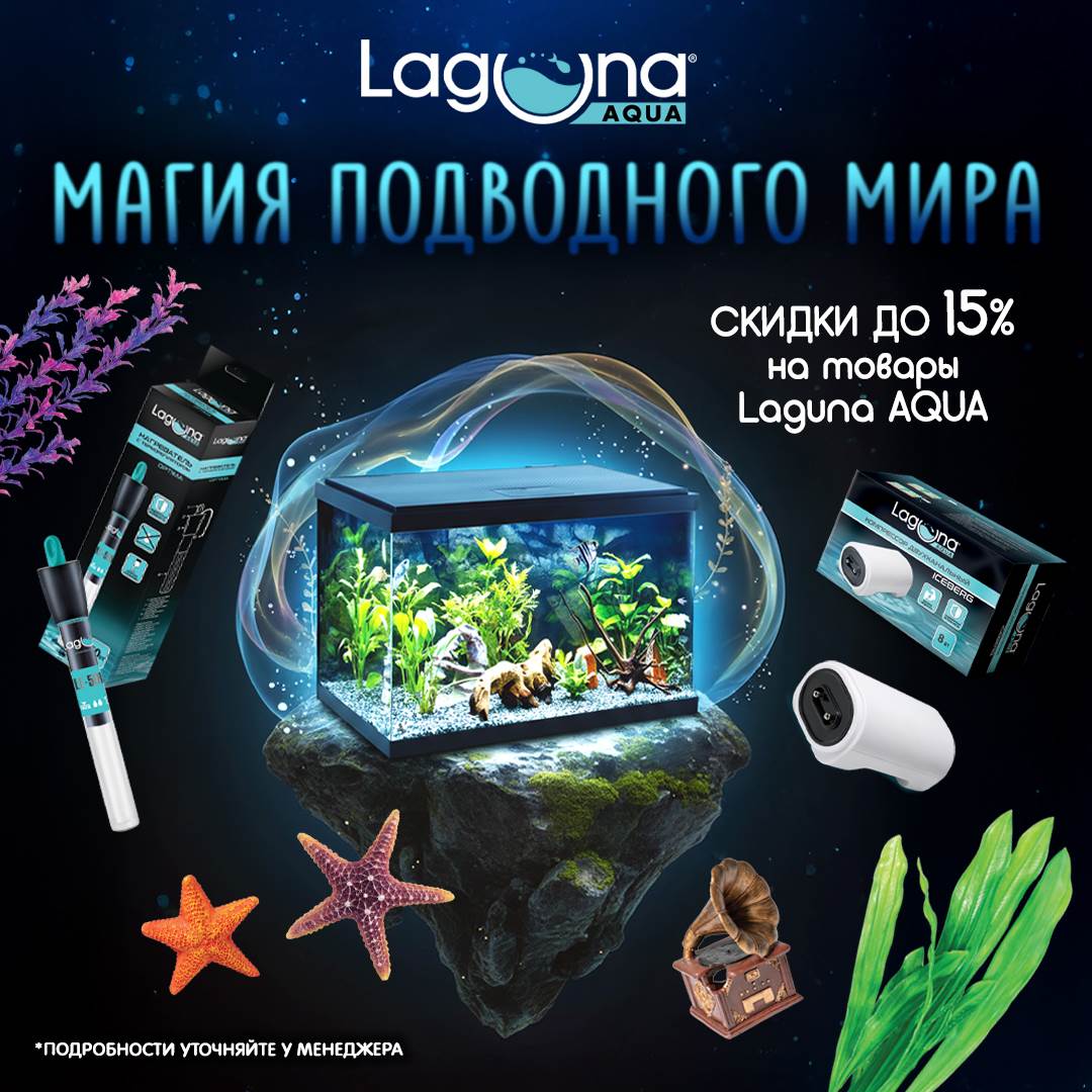 Изображение на странице