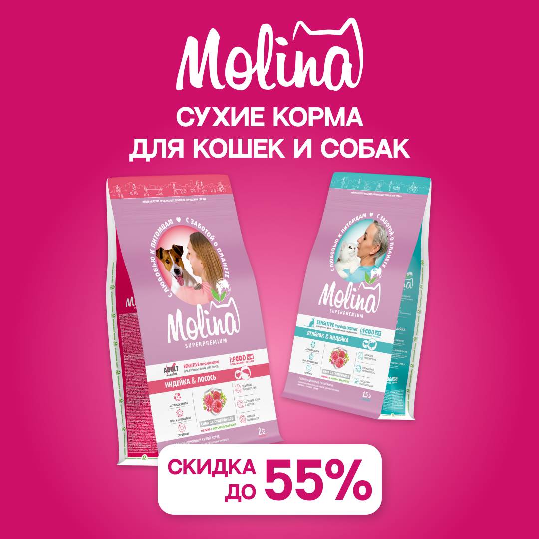 Изображение на странице