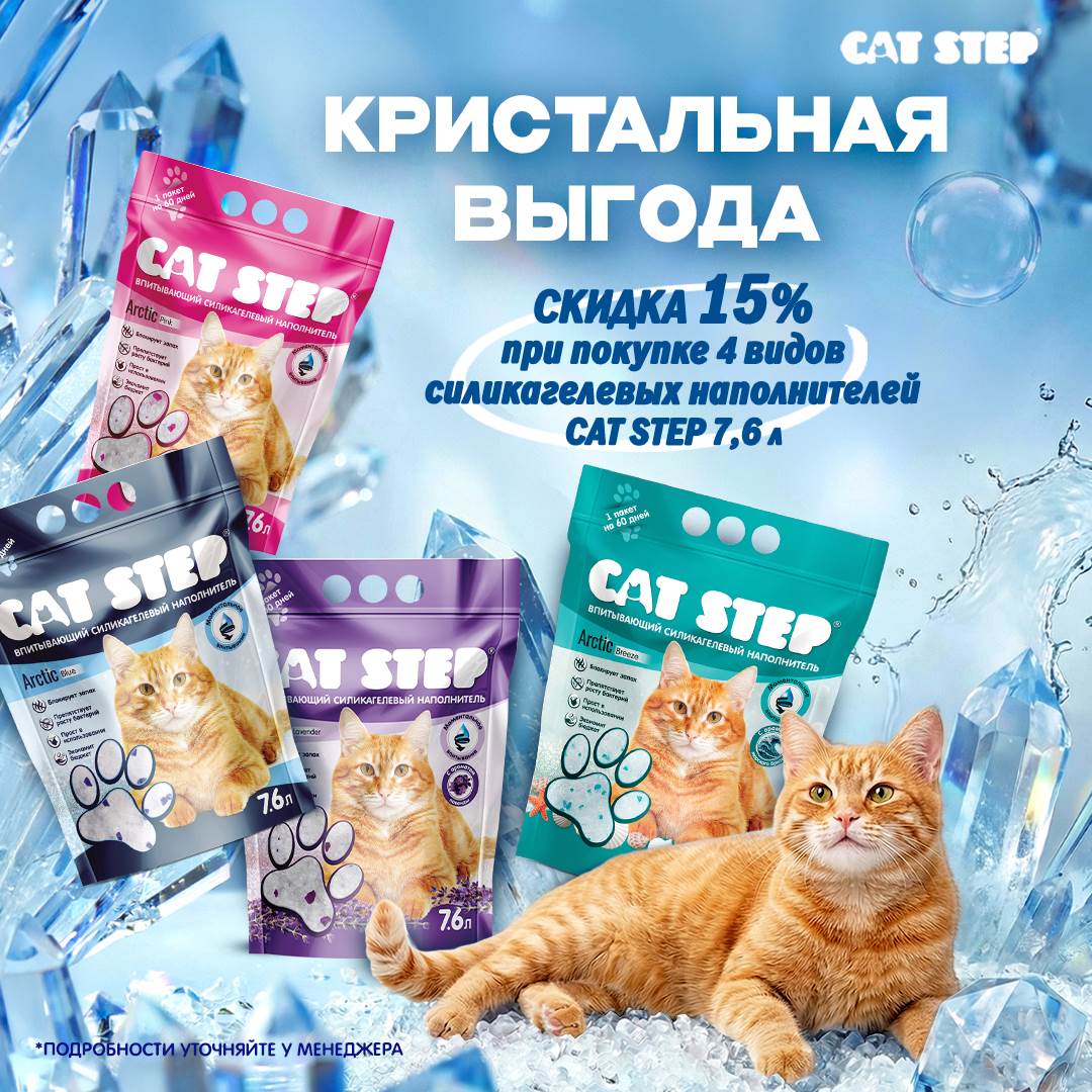 Изображение на странице